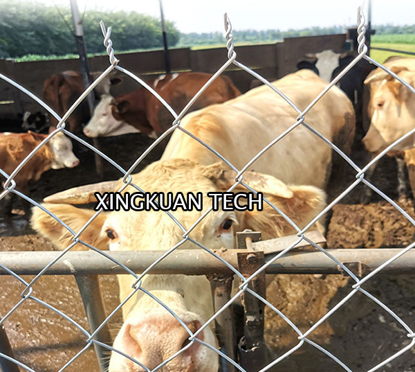 Galvanized Steel Chain Link Fence Fabric For Farm And Field