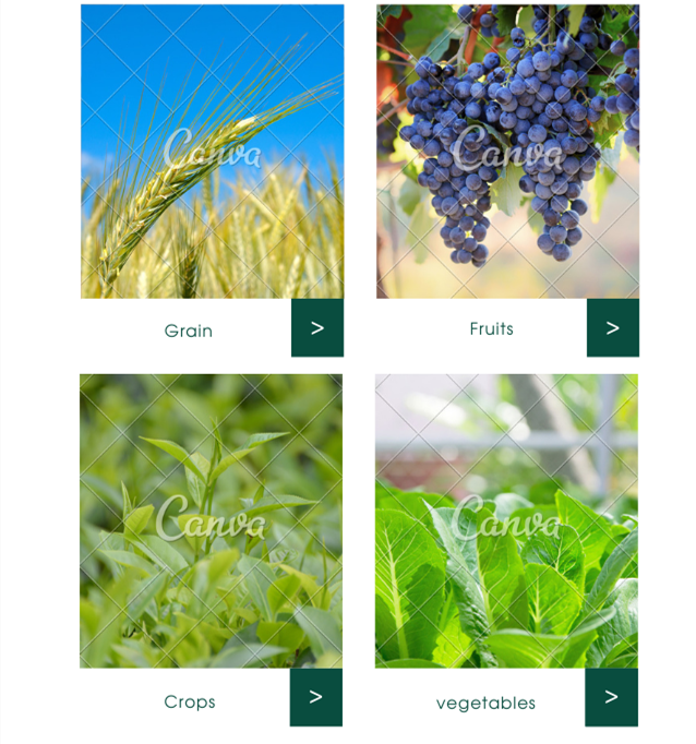 80% Amino Acid Organic Fertilizer Enzymatic Process Material For Garden Vegetable