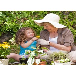 Hppe Liner Cut Proof Work Gloves , Cut Level 5 Safety Gloves For Vegetables