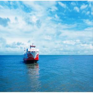 International Sea Freight Forwarding DDP From China To India