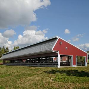 Weatherproof Prefabricated Steel Frame Farm Building Poultry House Easy Install