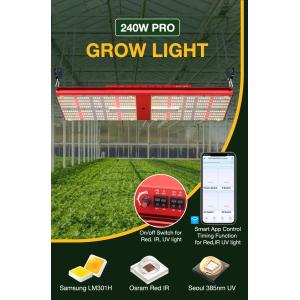 Bavagreen Quantum Board LED 240W Samsung Lm301h Indoor Plant Grow Light