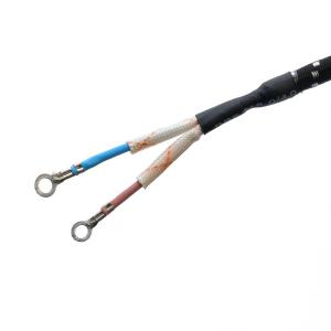 Standard Grounding Power Cord Extension Cord Plug for Electric Iron Kettle 2 Pin