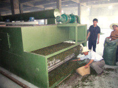 China DWT Series Drier for Vegetable Dehydration on sale