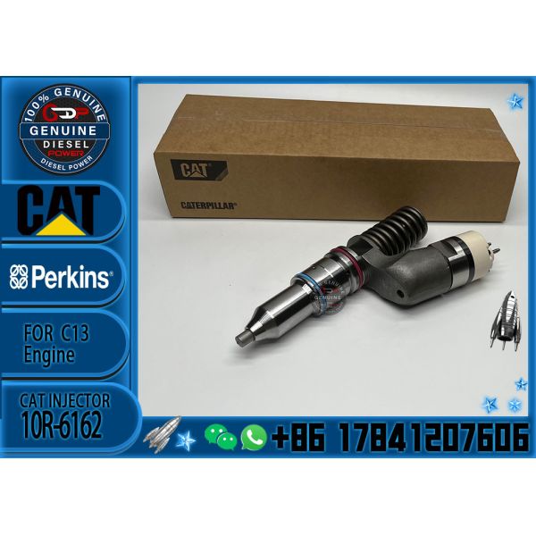 Factory Direct Supply Common Rail Injector 249-0709 294-3002 294-3002 10R-6162 2490709 2943002