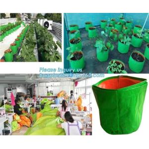 4 Pockets Permeable Non-woven fabric 26x65cmx1mm Vertical Wall Planting Bag for