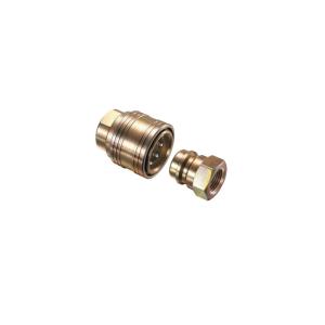 0.5'' 40 Bar 316L Stainless Steel Quick Coupling