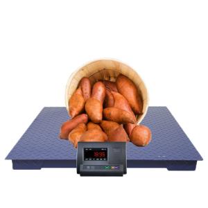 5000KG Industrial Floor Weighing Scales With Indicator