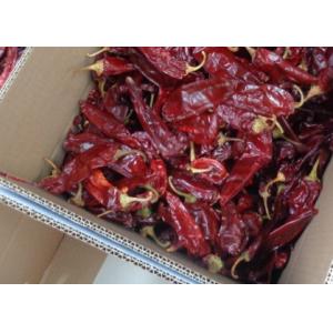 Red Jinta Chilli 0.3% Max Impurity Strong Pungent Flavor 25KG Packaging