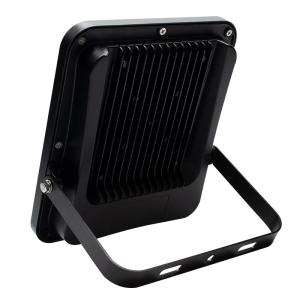 High Performance Park Led Smd Flood Light RoHS 100w