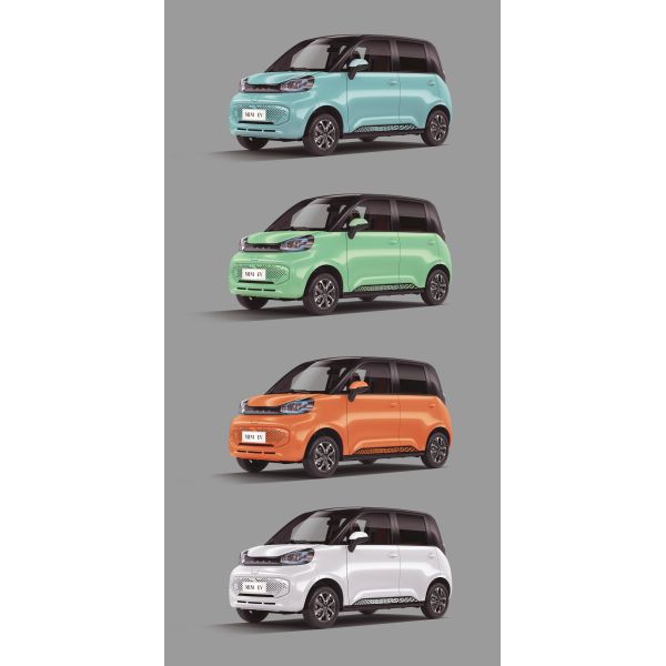 2023 DFSK MINI Car For Adult EV -1 EV -2 Mini Electric Car Within Market