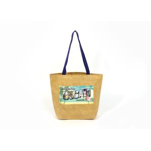 Waterproof Tyvek Fabric Recyclable Tote Bag DuPont Material High Capacity