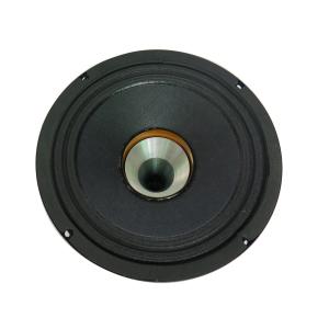 8ohm Coaxial PA Speaker