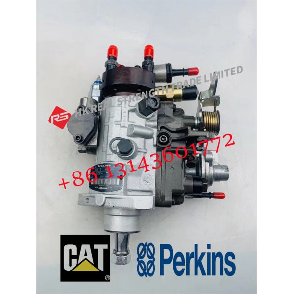 Caterpillar Perkins BP5318 BP20C6 Engine Parts Injection Fuel Pump 9323A340G
