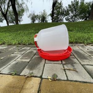 Quality Efficient Durable Poultry Drinker Reliable Source Essential Tool Health Issues for sale