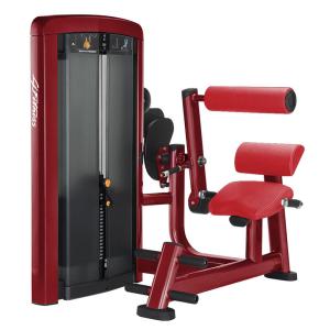 China Level Adjustment Back Extension Exercise Machine Gas Assisted Spring Reliable on sale