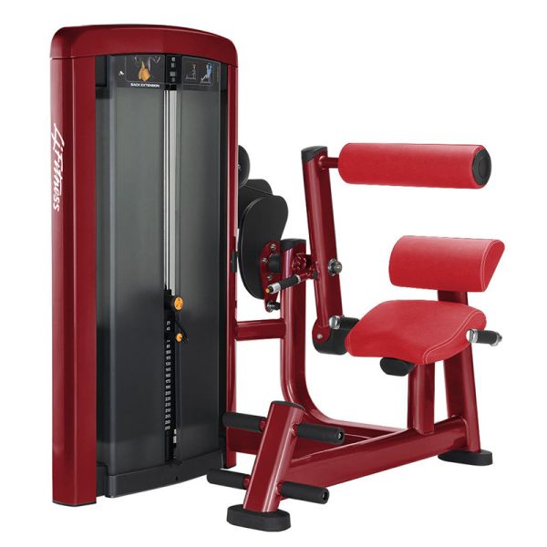 Buy Level Adjustment Back Extension Exercise Machine Gas Assisted Spring Reliable at wholesale prices