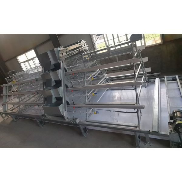 4 Tiers Baby Chick Cage