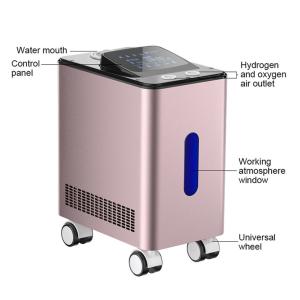 Enhance Metabolism Hydrogen Inhalation Therapy Machine Movable WEIZI