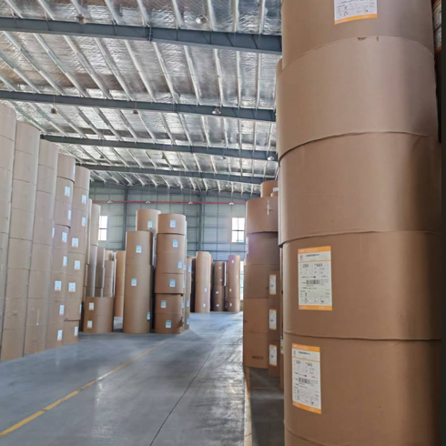 High Temperature ResistanceWaterproof PE Coated Paper Roll Paper Cup Making