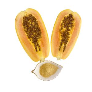 Biostimulants Deacetylation 95% Chitosan Oligosaccharide Organic Fertilizer For