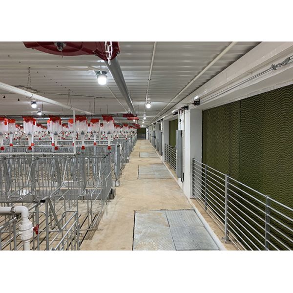 HI HOPE Swine Breeding Equipment Automatic Drinker Gestation Pens For Sows