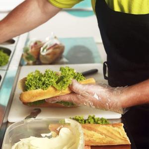 Latex Free Powder Free Disposable Gloves For Kitchen Dish Washing & Household