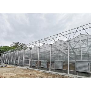 IGreen Polycarbonate Greenhouse Panels for Flowers and Vegetables Customized