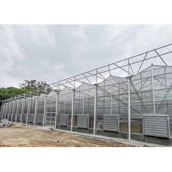 IGreen Polycarbonate Greenhouse Panels for Flowers and Vegetables Customized