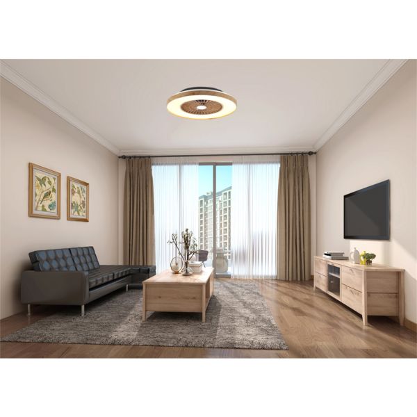 Ceiling Fan Light(323115-6)