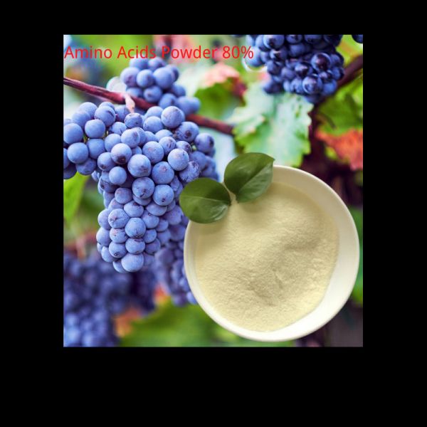 New Compound Enzymolysis Amino Acids Powder Solid Small Peptides Organic