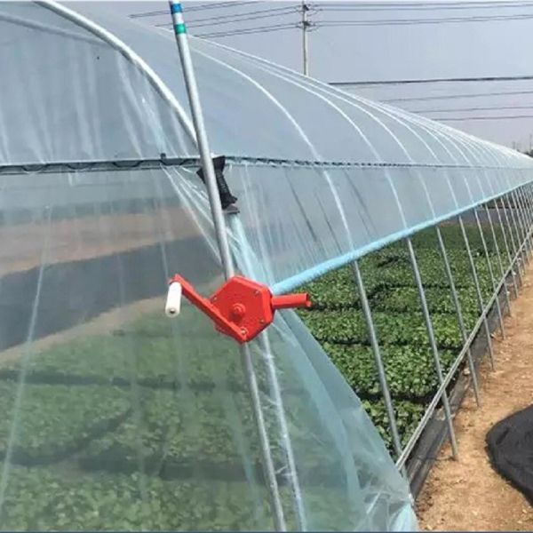Agriculture Single Tunnel Plastic Film Greenhouse for Strawberry Planting