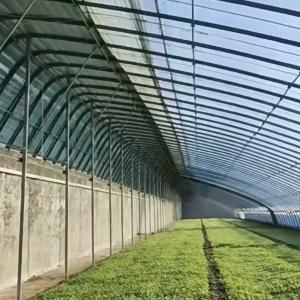 Plastic Sheet Flower Sunlight Greenhouse Drip Irrigation for Consistent