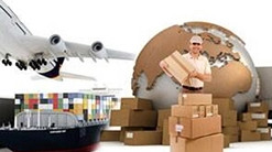 Stainless Steel Mortise Lock Exterior Door Brass Cylinder OEM Service