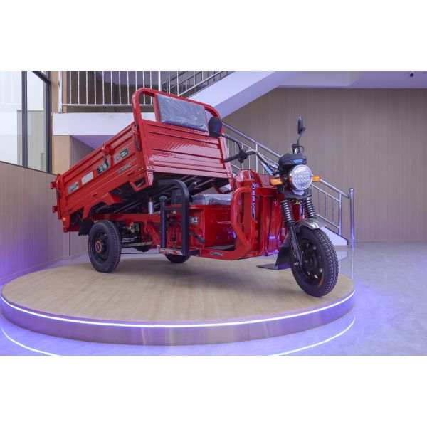 Open Body Three-Wheeled Motorized Tricycle with Dump Freight Chinese Manufacture