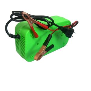 12V/24V Lead Acid Battery Charger for 2ah-100ah Car AGM Battery Private Mold