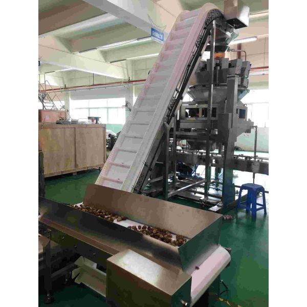 20m/min Nuts Packing Machine Food Grade Cherry Tomato Stainless Steel Swan Neck Tilting Conveyor