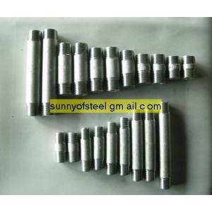 Astm A-312 TP 317 SMLS THREADED NIPPLE
