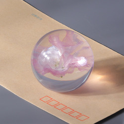 Fashion Crystal Ball Paperweight , Resin Dandelion Paperweight