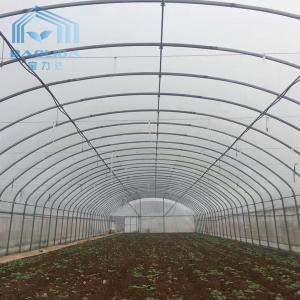 Farming Singlespan Tunnel Greenhouse With Irrigation And Hydroponic Growing