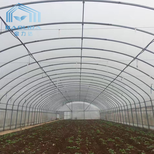Buy Farming Singlespan Tunnel Greenhouse With Irrigation And Hydroponic Growing System at wholesale prices