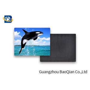 Customized Animal Personalized Fridge Magnets 3D Pictures PET Lenticular
