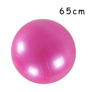 High Flexibility Pilates 65cm Stability Ball Heavy Duty For Gym