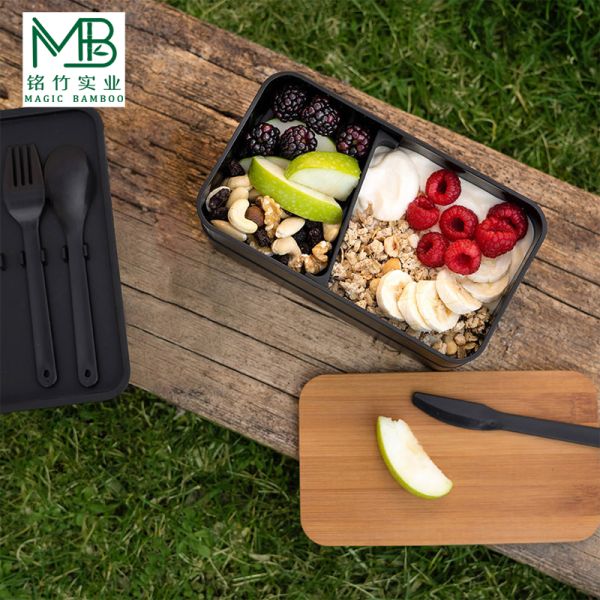 Hot selling double layer Japanese bento box with bamboo lid for students