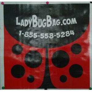 Large BOPP Laminated Bags