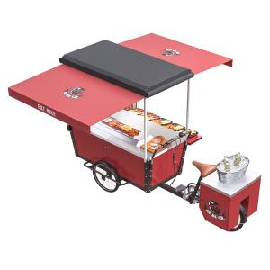 China Self Priming Outdoor 350W Drum Brake BBQ Food Bike on sale