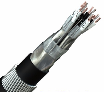 Industrial 2x4mm2 Low Voltage Control Cable with Copper Conductor and PVC Insulation