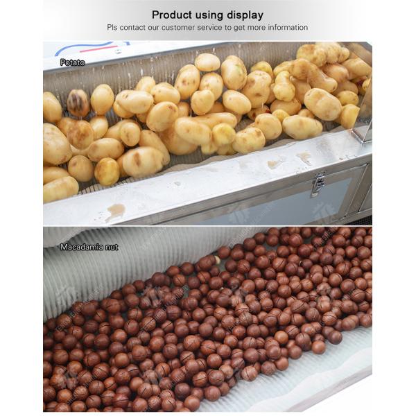 Potatoes and round tuber crops Ginger Potato Carrot Taro Sweet potato Yam Saiko persimmon papaya horseshoe macadamia nut Brush Washing and Peeling
