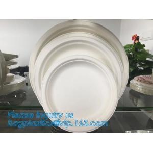 China Compostable biodegradable dinner plate corn starch plate,Elegant Disposable Corn Starch Bio Plastic Dinner Plates bagpla on sale