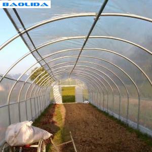 Quality Plastic Covering Polyethylene Film Greenhouse / Single Span Tunnel Flower Power Greenhouse for sale